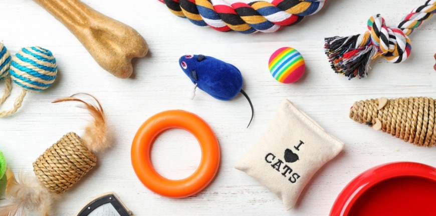 Accessorising Your Cat