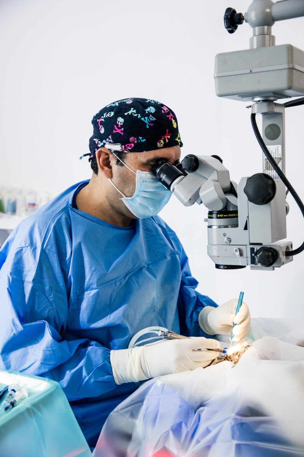 When Your Cat’s Eyes Need a Specialist: How Feline Ophthalmology Protects Their Sight