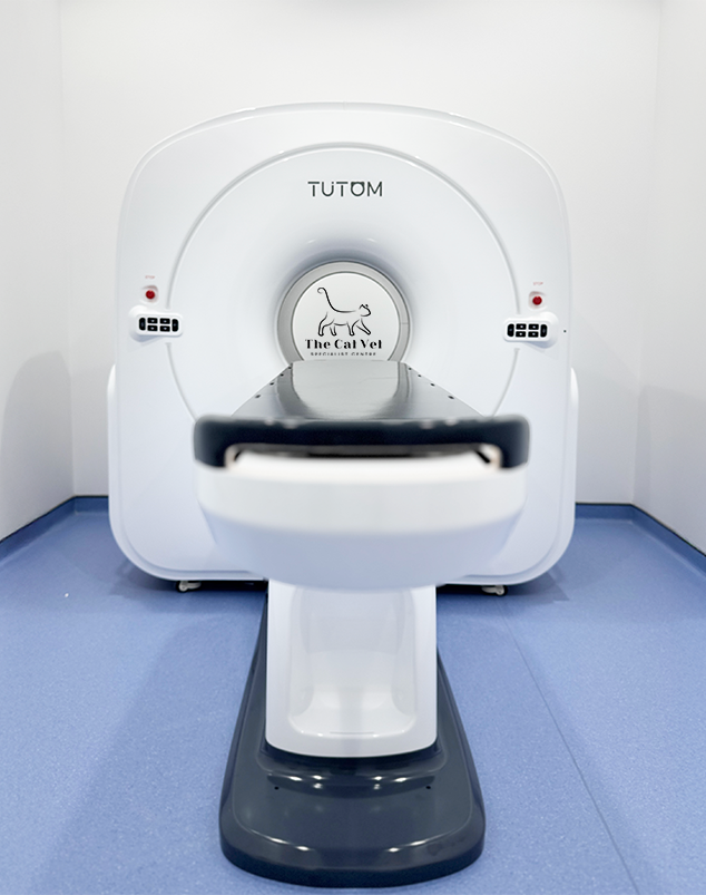CT_Image