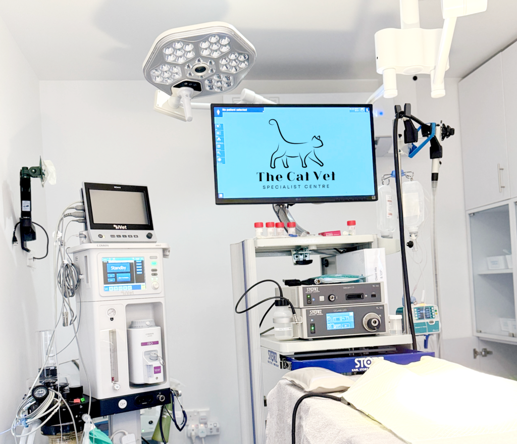 Endoscopy