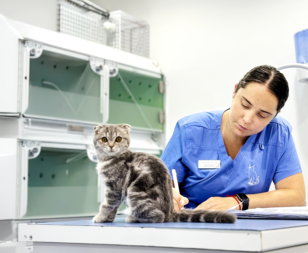 cat vaccinations