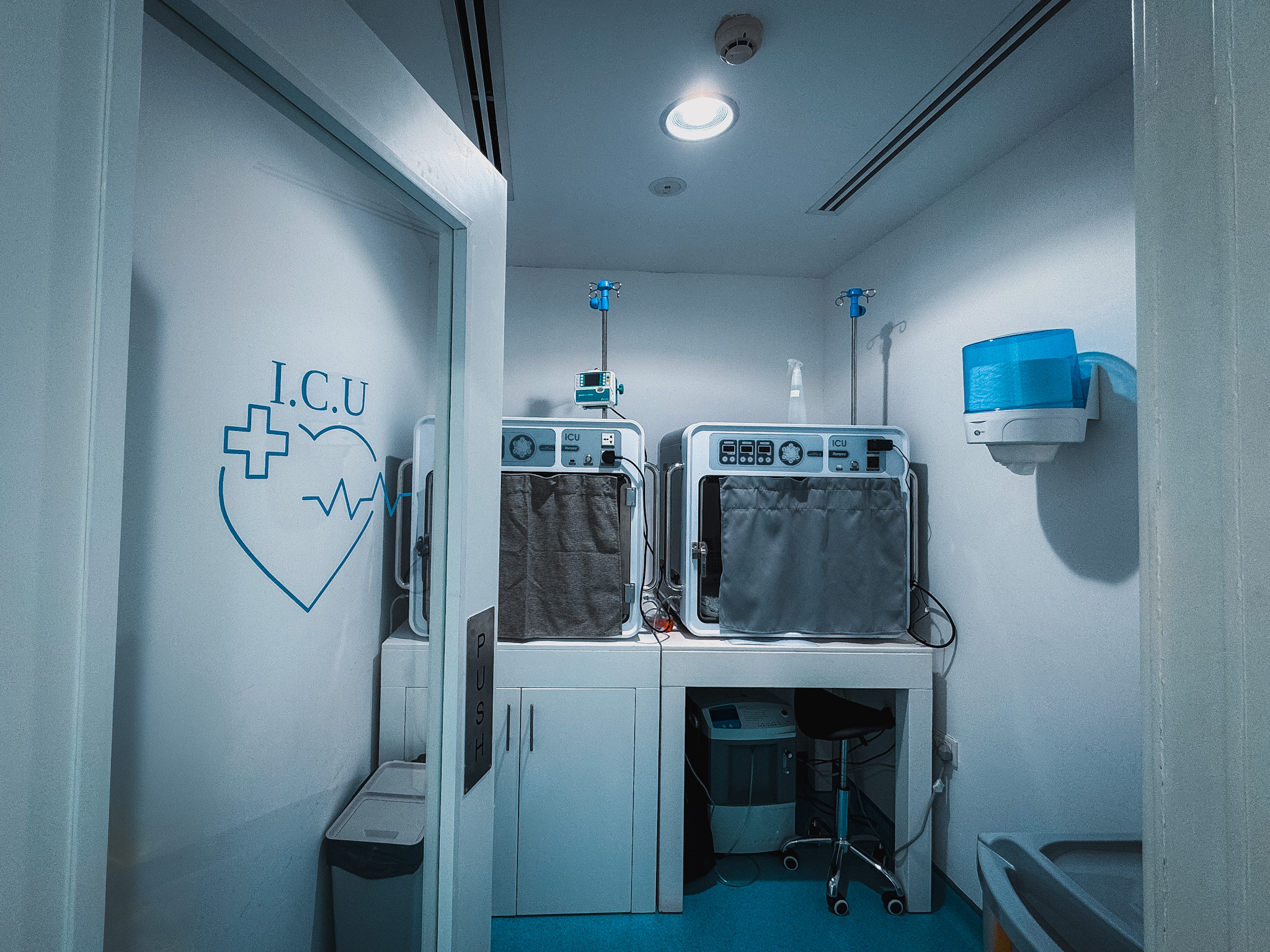 Emergency The cat vet