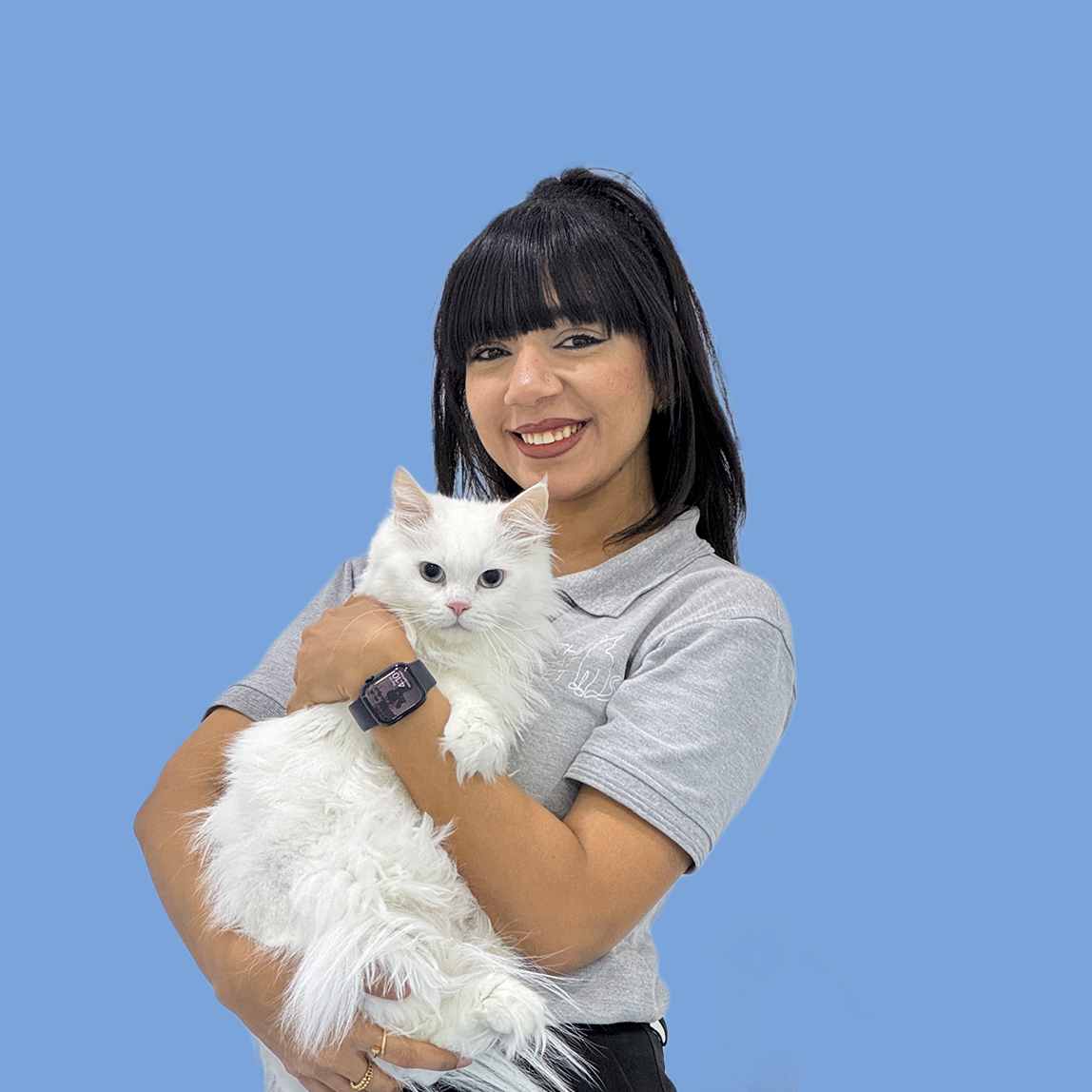 the cat vet